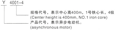 西安泰富西玛Y系列(H355-1000)高压YKK6302-4/2000KW三相异步电机型号说明